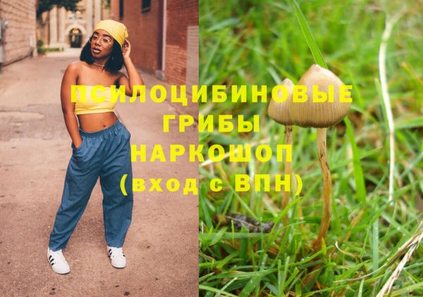 мяу мяу мука Алексин