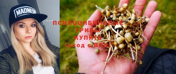 мяу мяу мука Алексин