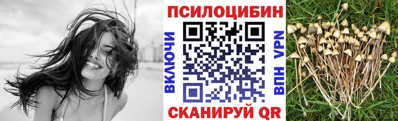 OMG сайт Нелидово Галлюциногенные грибы Magic Shrooms